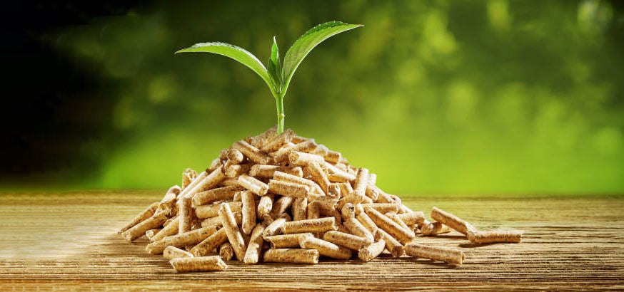 Granulés de bois et pellets